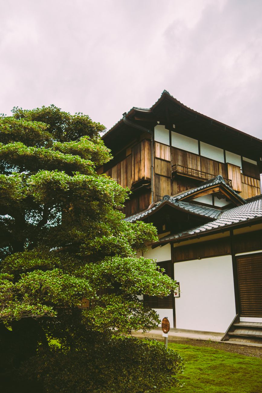 A serene moss garden inside a traditional Kyoto machiya residence